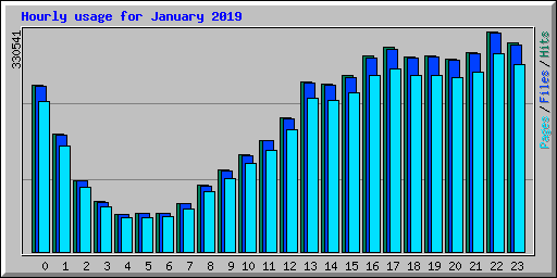 Hourly usage for January 2019